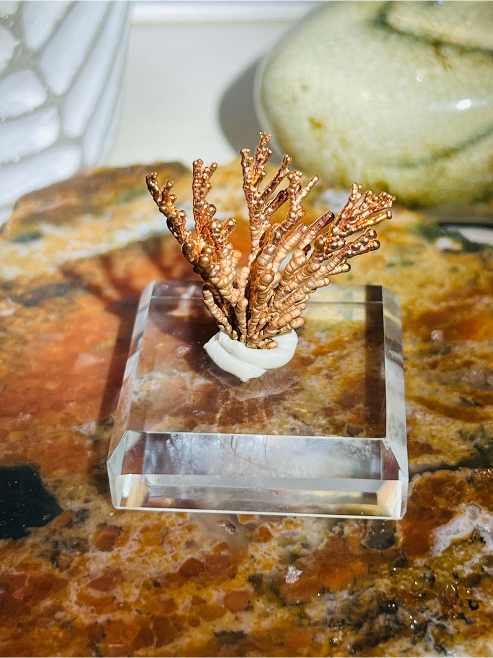 Copper 🪸 - Picture 3 of 3